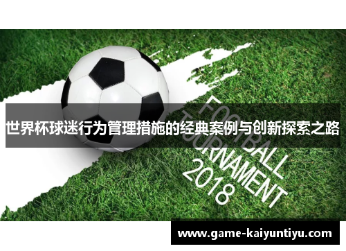 世界杯球迷行为管理措施的经典案例与创新探索之路