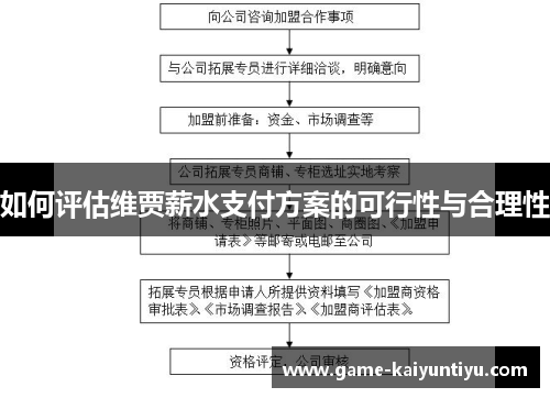 如何评估维贾薪水支付方案的可行性与合理性 如何评估维贾薪水支付方案的可行性与合理性