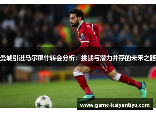 曼城引进马尔穆什转会分析:挑战与潜力并存的未来之路 曼城引进马尔穆什转会分析:挑战与潜力并存的未来之路