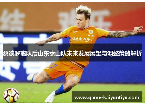 桑德罗离队后山东泰山队未来发展展望与调整策略解析