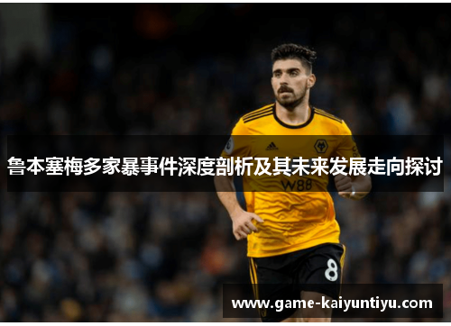 鲁本塞梅多家暴事件深度剖析及其未来发展走向探讨