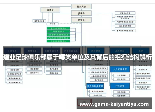 建业足球俱乐部属于哪类单位及其背后的组织结构解析